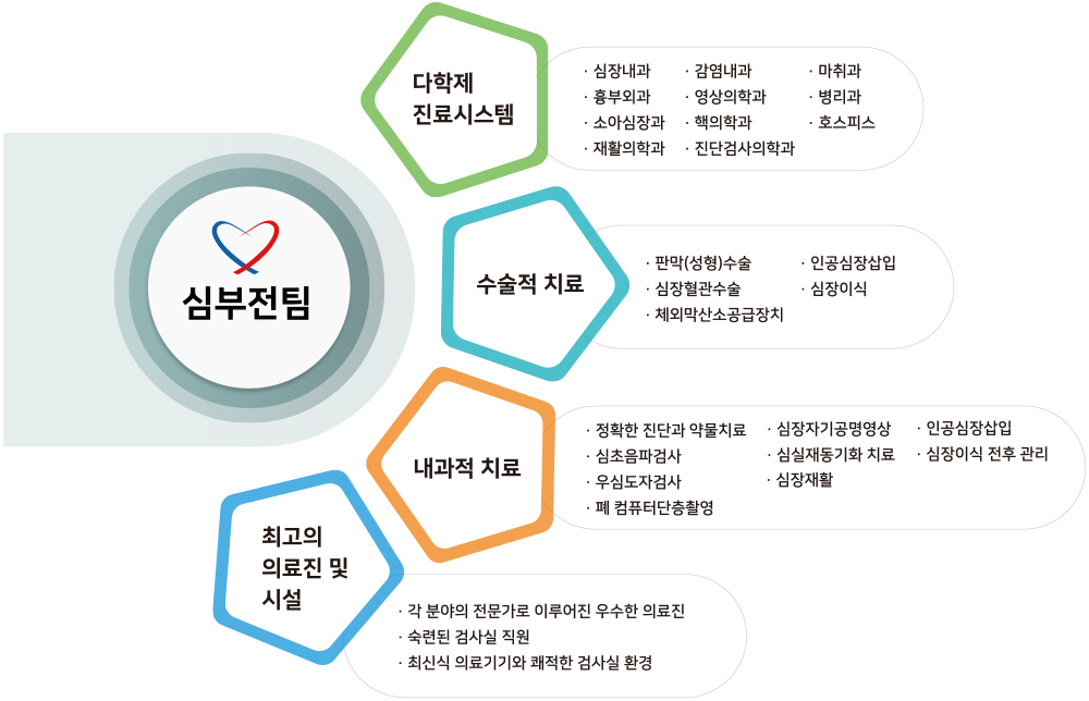 심부전팀 - 다학제진료시스템(심장내과, 감염내과, 마취과, 흉부외과, 영상의학과, 병리과, 소아심장과, 핵의학과, 호스피스, 재활의학과, 진단검사의학과), 수술적 치료(판막성형수술, 심장혈관수술, 체외막산소공급장치, 인공심장삽입, 심장이식), 내과적 치료(정확한 진단과 약물치료, 심초음파검사, 우심도자검사, 폐컴퓨터단층촬영, 심장자기공명영상, 심실재동기화 치료, 인공심장삽입, 심장이식 전후 관리, 심장재활), 최고의 의료진 및 시설(각 분야의 전문가로 이루어진 우수한 의료진, 숙련된 검사실 직원, 최신식 의료기기와 쾌적한 검사실 환경)