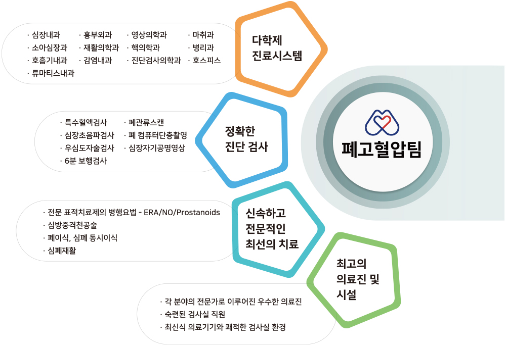 폐고혈압팀 - 다학제진료시스템(심장내과, 소아심장과, 호흡기내과, 류마티스내과, 흉부외과, 재활의학과, 감염내과, 영상의학과, 핵의학과, 진단검사의학과, 마취과, 병리과, 호스피스), 정확한 진단 검사(특수혈액검사, 심장초음파검사, 우심도자술검사, 6분 보행검사, 폐관류스캔, 폐 컴퓨터단층촬영, 심장자기공명영상), 신속하고 전문적인 최선의 치료(전문 표적치료제의 병행요법-ERA/NO/Prostanoids, 심방중격천공술, 폐이식, 심폐 동시이식, 심폐재활), 최고의 의료진 및 시설(각 분야의 전문가로 이루어진 우수한 의료진, 숙련된 검사실 직원, 최신식 의료기기와 쾌적한 검사실 환경)