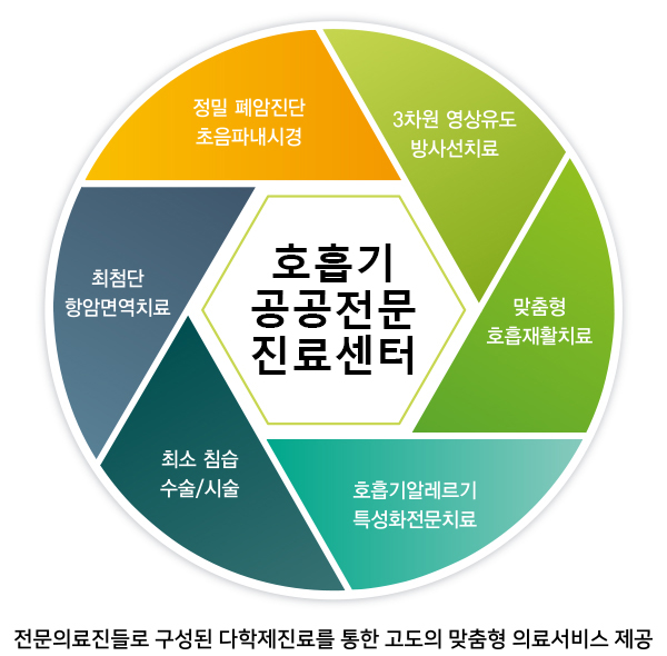 호흡기 공공전문진료센터, 전문의료진들로 구성된 다학제진료를 통한 고도의 맞춤형 의료서비스 제공 - 정밀 폐암진단 초음파내시경, 최첨단 항암면역치료, 최소 침습 수술/시술, 호흡기알레르기 특성화전문치료, 맞춤형 호흡재활치료, 3차원 영상유도 방사선치료