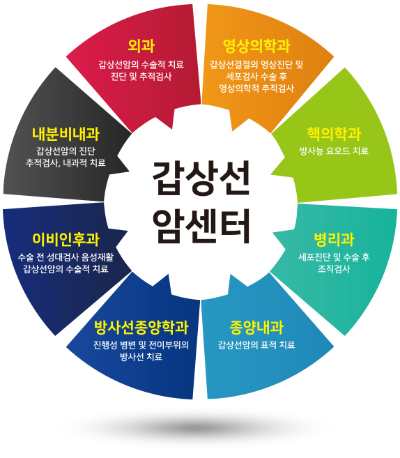 갑상선암센터 협력진료과 - 외과(갑상선암의 수술적 치료, 진단 및 추적검사), 내분비내과(갑상선암의 진단, 추적검사, 내과적 치료), 이비인후과(수술 전 성대검사, 음성재활, 갑상선암의 수술적 치료), 방사선종양학과(진행성 병변 및 전이부위의 방사선치료), 종양내과(갑상선암의 표적치료), 병리과(세포진단 및 수술 후 조직검사), 핵의학과(방사능 요오드 치료), 영상의학과(갑상선결절의 영상진단 및 세포검사 수술 후 영상의학적 추적검사)