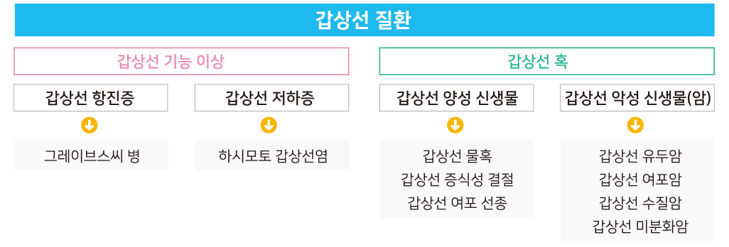 갑상선 질환의 분류 및 대표적 예 - 갑상선질환은 갑상선 기능 이상과 갑상선 혹으로 분류되며, 갑상선 기능 이상은 다시 갑상선 항진증(그레이브씨병)과 갑상선 저하증(하시모토 갑상선염)으로 분류된다. 갑상선혹은 갑상선 양성 신생물(갑상선 물혹, 갑상선 증식성 결절, 갑상선 여포 선종)과 갑상선 악성 신생물(갑상선 유두암, 갑상선 여포암, 갑상선 수질암, 갑상선 미분화암)로 분류된다.