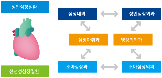 성인심장질환 - 심장내과, 성인심장외과, 심장마취과, 영상의학과가 협업하여 진료하고, 선천성심장질환 - 소아심장과, 소아심장외과, 심장마취과, 영상의학과가 협력하여 진료를 봅니다.