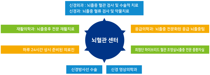 뇌혈관센터 다학제진료 : 신경외과(뇌졸중 혈관 검사 및 수술적 치료), 신경과(뇌졸중 혈류 검사 및 약물치료), 재활의학과(뇌졸중 후 전문 재활치료), 응급의학과(뇌졸중 전문화된 응급 뇌졸중 팀)으로 구성된 다학제 진료를 진행하며, 하루 24시간 상시 준비된 의료진, 신경방사선 수술, 신경 영상의학과, 최첨단 하이브리드 혈관 조영실, 뇌졸중 전문 중환자실을 갖추고 있습니다.