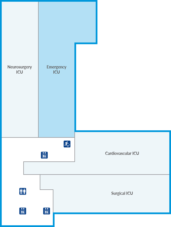 Emergency ICU