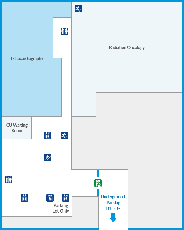 Echocardiography