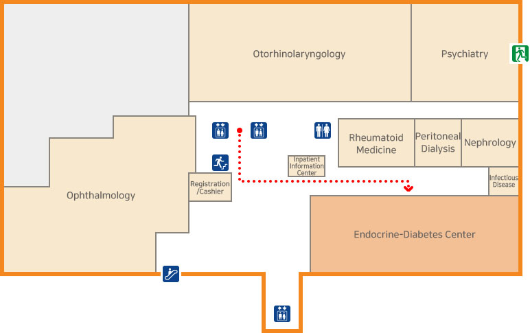 Endocrine Metabolism Internal Medicine